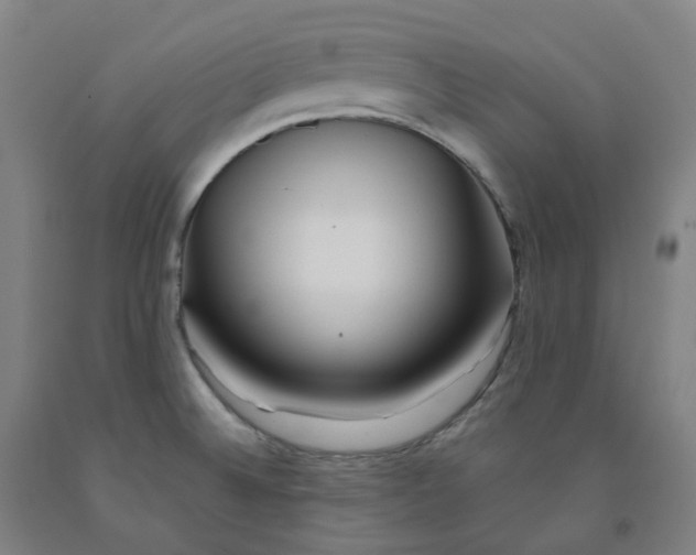 X0000091991524200709271437