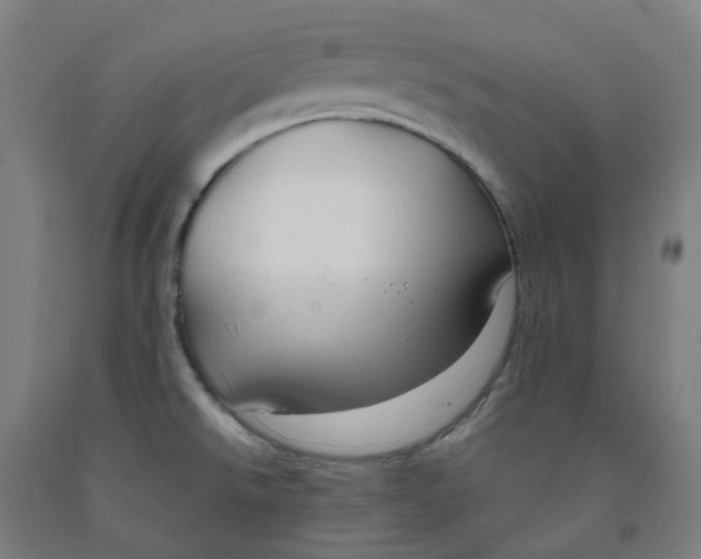 X0000091991526200709271437