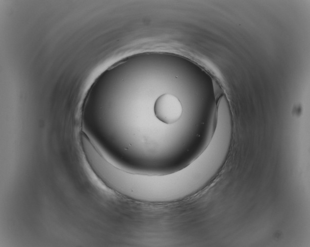 X0000091991528200709271437