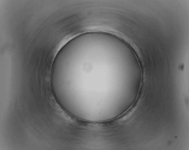 X0000091991529200709271437