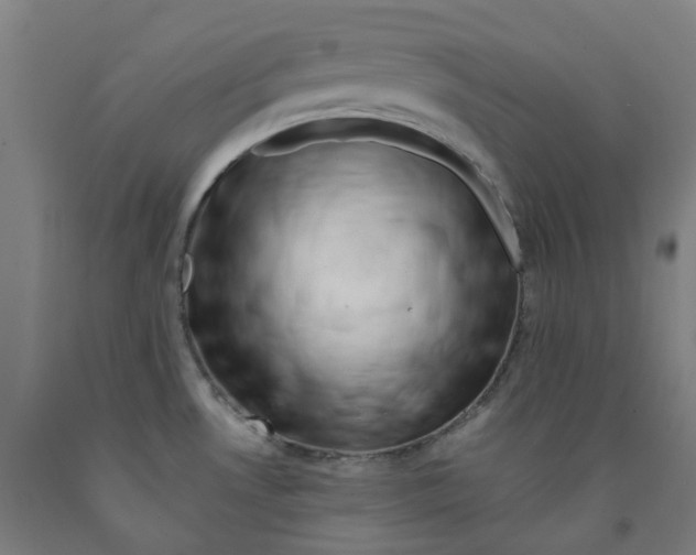 X0000091991530200709271437