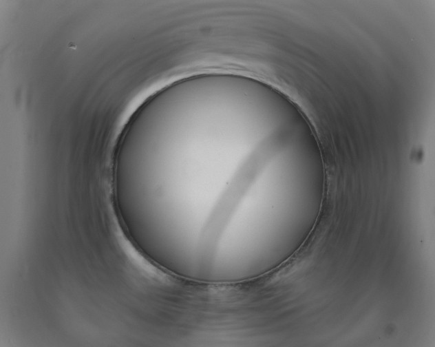 X0000091991531200709271437