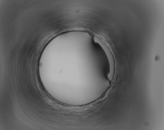 X0000091990001200710041139
