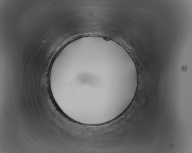 X0000091990002200710041139