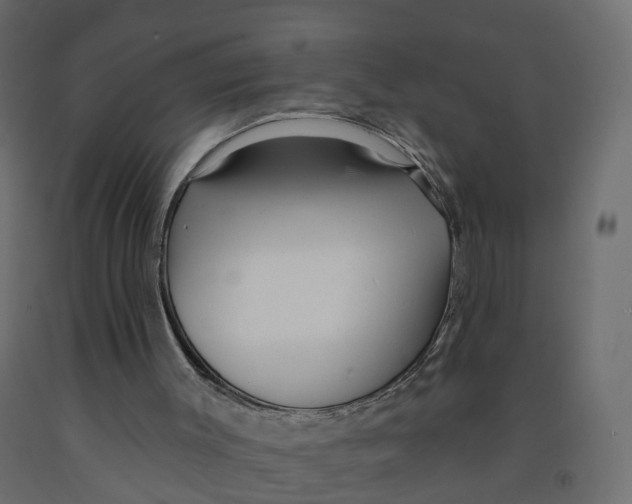 X0000091990003200710041139