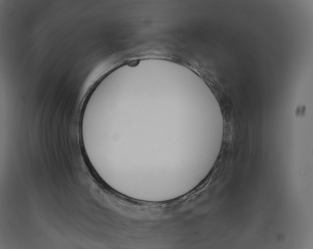 X0000091990004200710041139