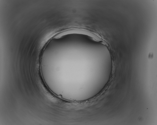X0000091990005200710041139
