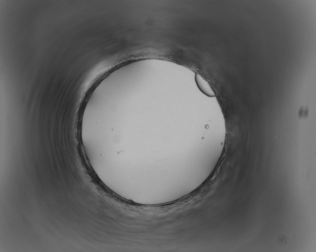 X0000091990006200710041139