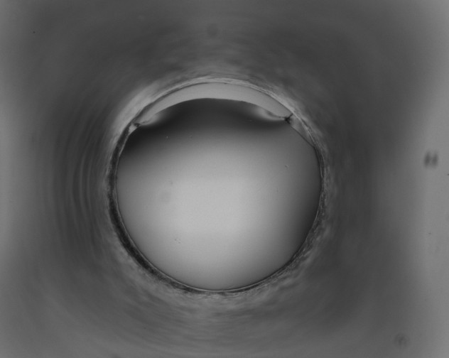 X0000091990007200710041139