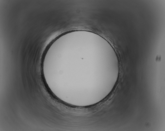 X0000091990008200710041139