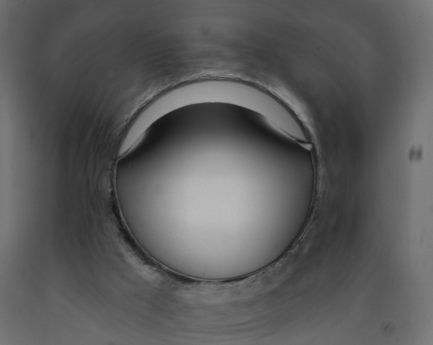 X0000091990009200710041139