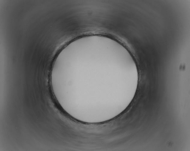 X0000091990010200710041139