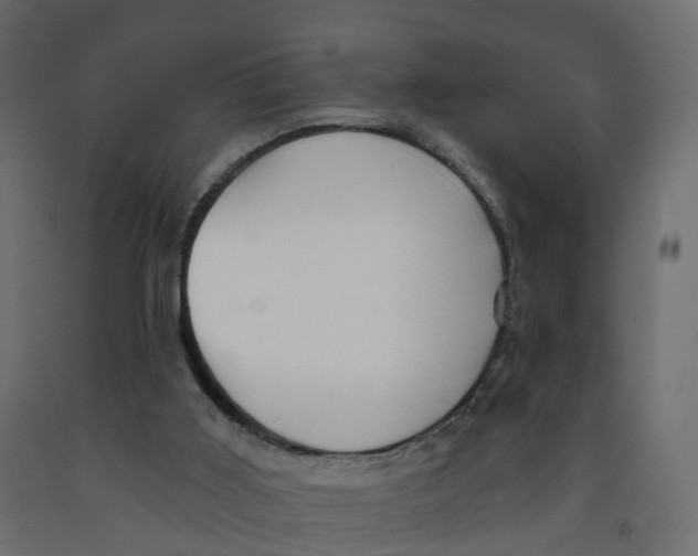 X0000091990011200710041139