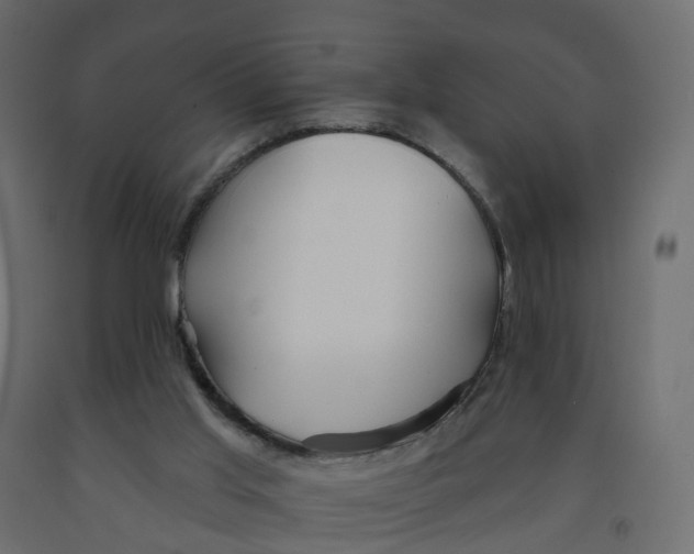 X0000091990013200710041139