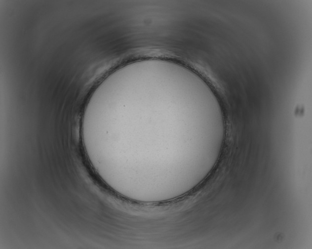 X0000091990014200710041139
