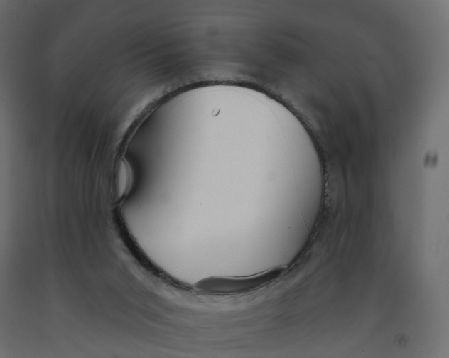 X0000091990015200710041139