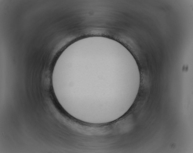 X0000091990016200710041139