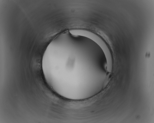 X0000091990017200710041139