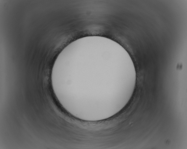 X0000091990018200710041139
