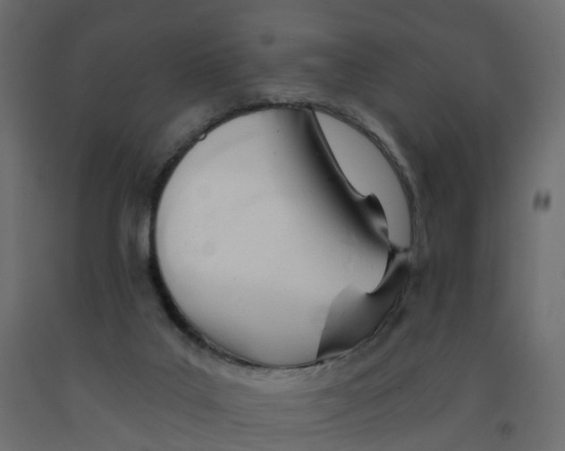 X0000091990019200710041139