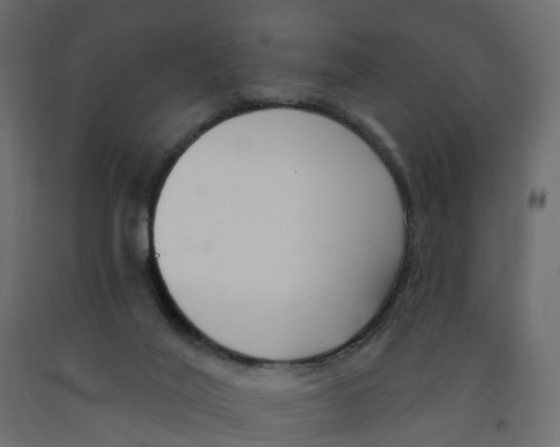 X0000091990020200710041139