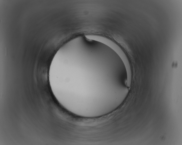 X0000091990021200710041139