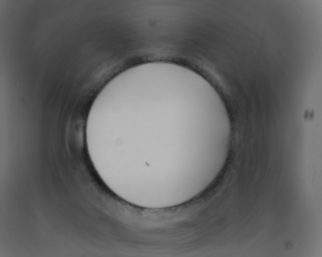 X0000091990022200710041139