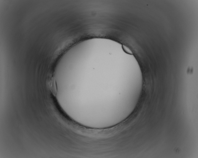 X0000091990023200710041139