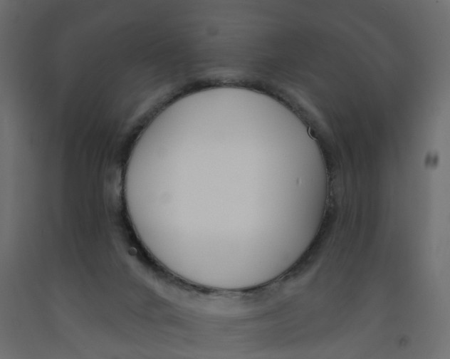 X0000091990024200710041139