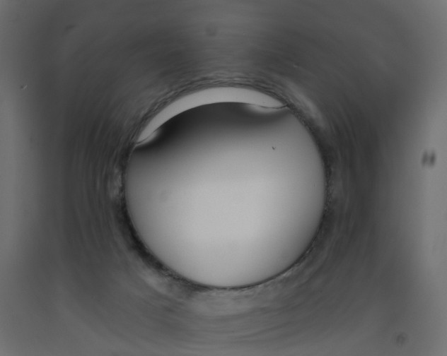 X0000091990025200710041138