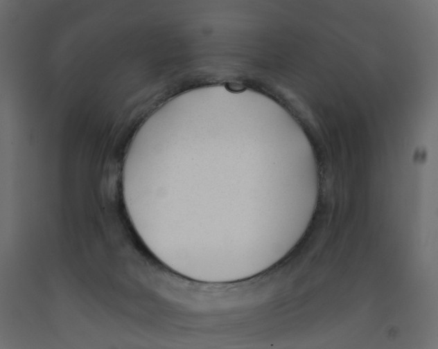 X0000091990026200710041138