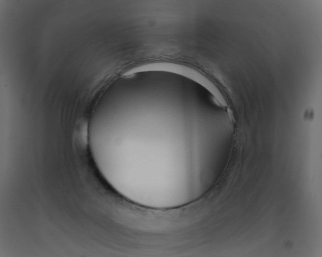 X0000091990027200710041138