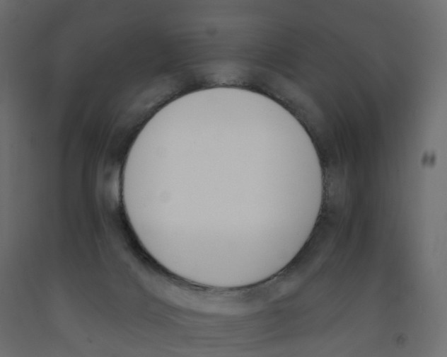 X0000091990028200710041138