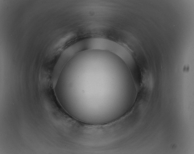 X0000091990029200710041138