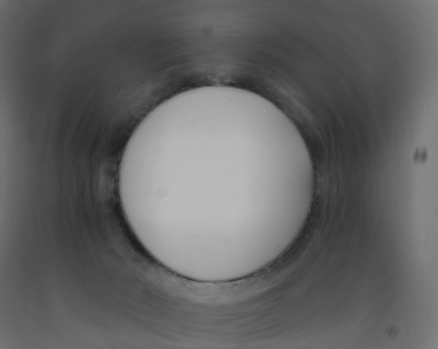 X0000091990030200710041138
