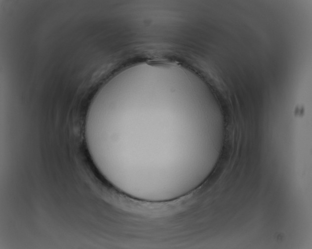 X0000091990031200710041138