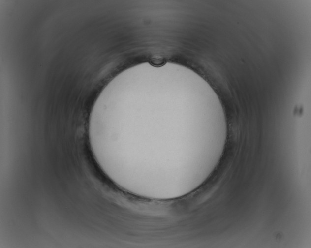 X0000091990032200710041138