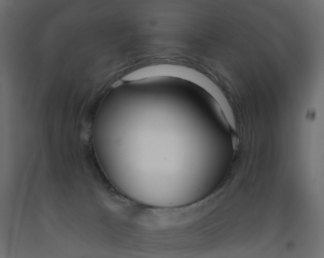 X0000091990033200710041138