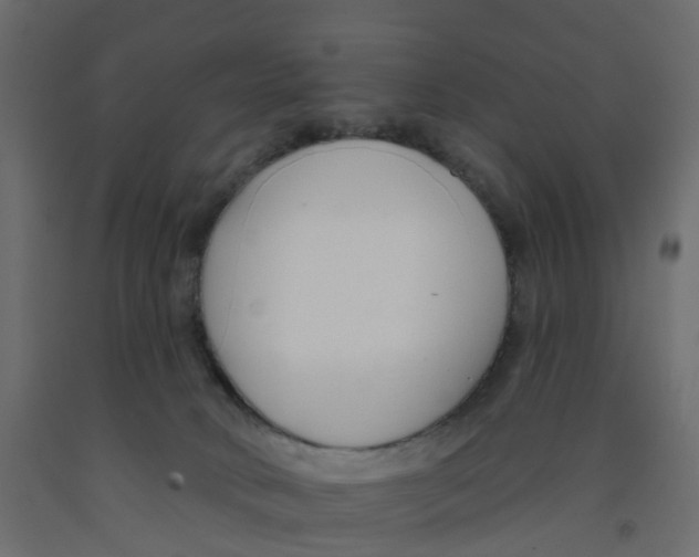 X0000091990034200710041138
