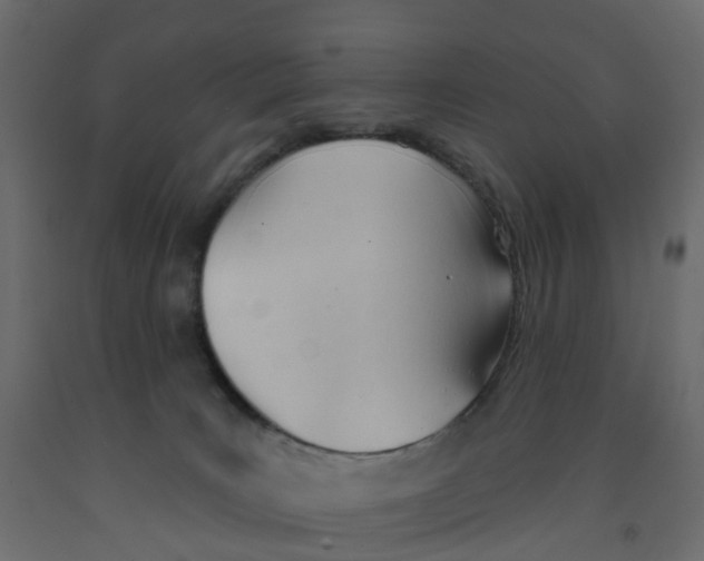 X0000091990035200710041138