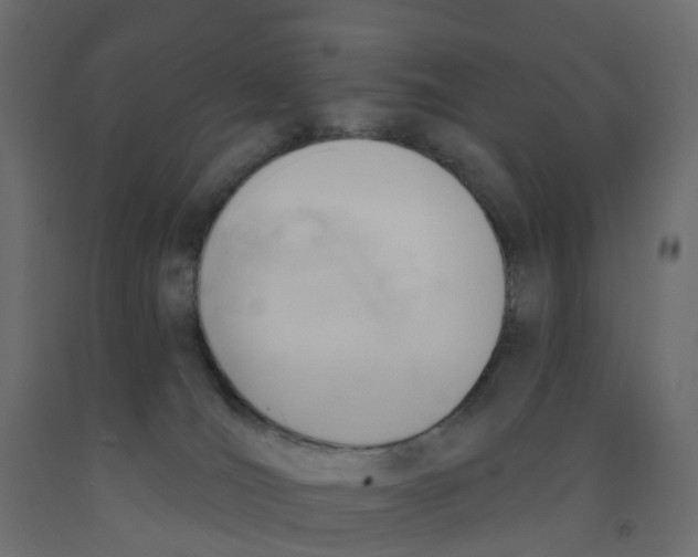 X0000091990036200710041138