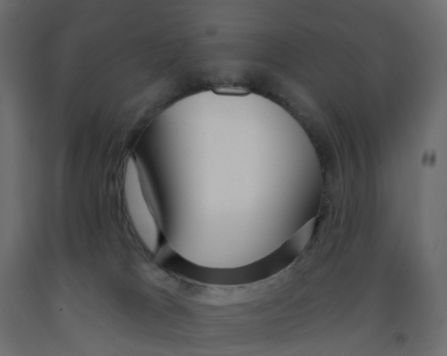 X0000091990037200710041138