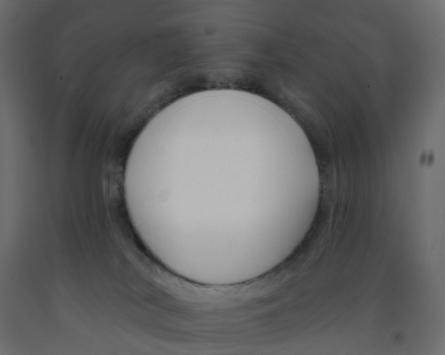X0000091990038200710041138