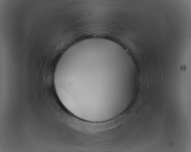 X0000091990039200710041138