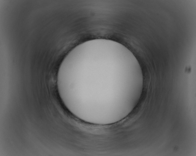 X0000091990040200710041138