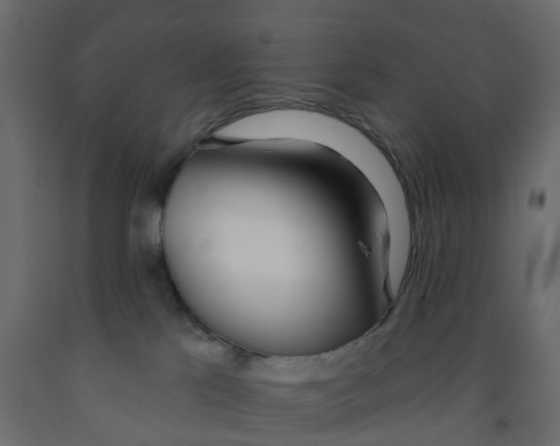 X0000091990041200710041138