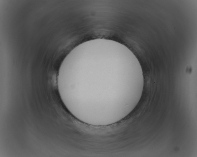 X0000091990042200710041138