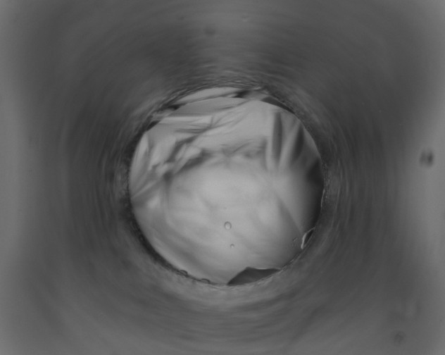 X0000091990043200710041138