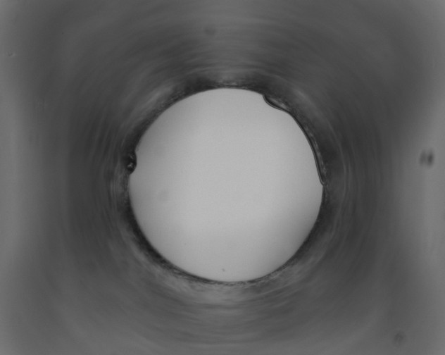 X0000091990044200710041138
