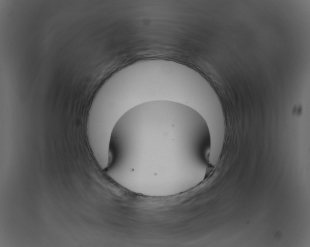 X0000091990045200710041138